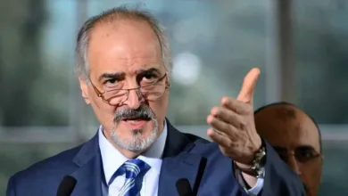 الأسد أردوغان بريكس