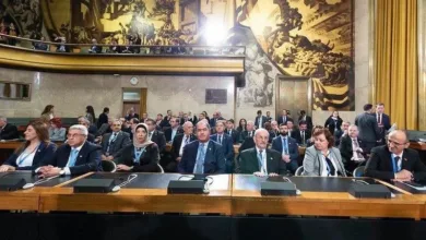 اللجنة الدستورية