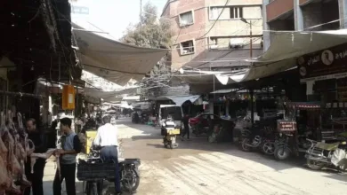 الفيحاء، محافظة ريف دمشق