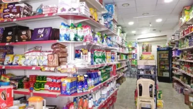 ملاجئ دمشق