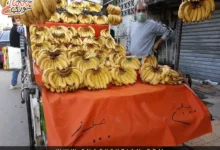 وزارة الاقتصاد استييراد الموز
