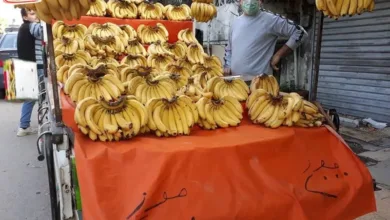 وزارة الاقتصاد استييراد الموز