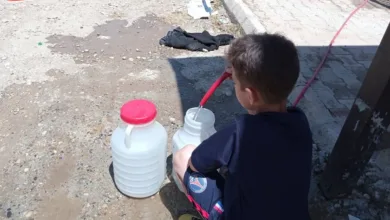 وقاية