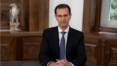 الأسد