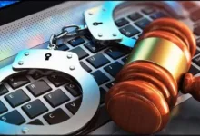 قانون جرائم المعلوماتية النيل من هيبة الدولة