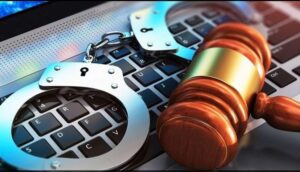 قانون جرائم المعلوماتية النيل من هيبة الدولة