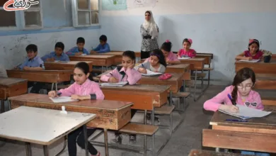 نتائج الشهادة الإعدادية