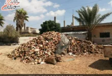 قانون الحراج الجديد في سوريا