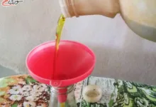تصدير زيت الزيتون السوري