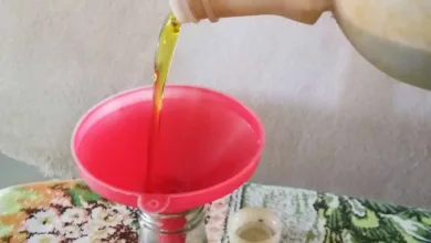 تصدير زيت الزيتون السوري