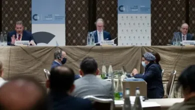 اللجنة الدستوري