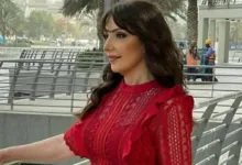 انتقادات وفاء موصللي