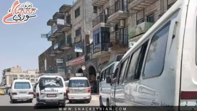 السويداء، سرفيس، اضراب