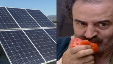 بندورة وطاقة شمسية