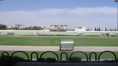 ملعب الجلاء