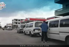 مازوت