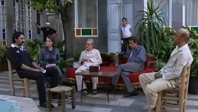 مسلسل ضبوا الشناتي