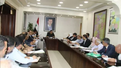 أبو سعدى