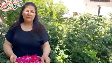 ميادة أحمد