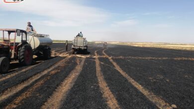 الحرائق تلتهم 200 دونم من القمح في درعا جنوب سوريا