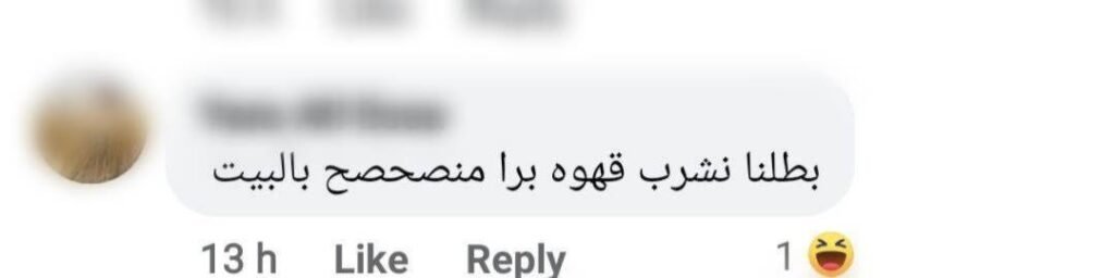 تعليقات الفلافل
