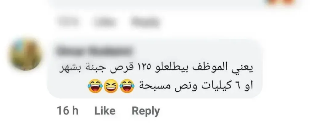 تعليقات الفلافل