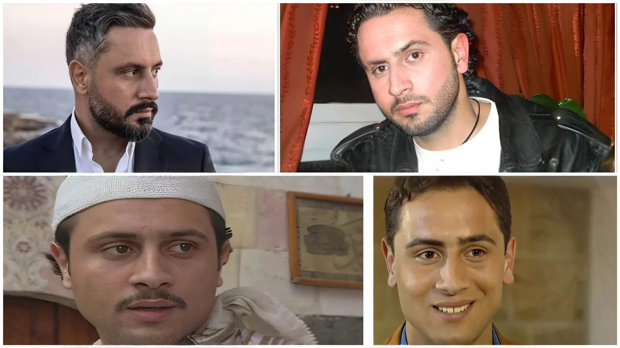 قيس الشيخ نجيب