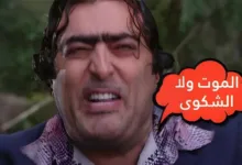 ضيعة ضايعة