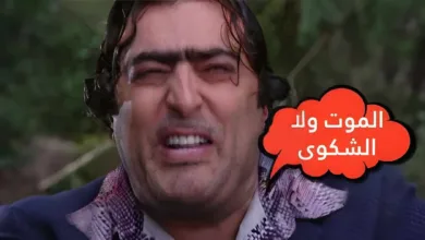 ضيعة ضايعة