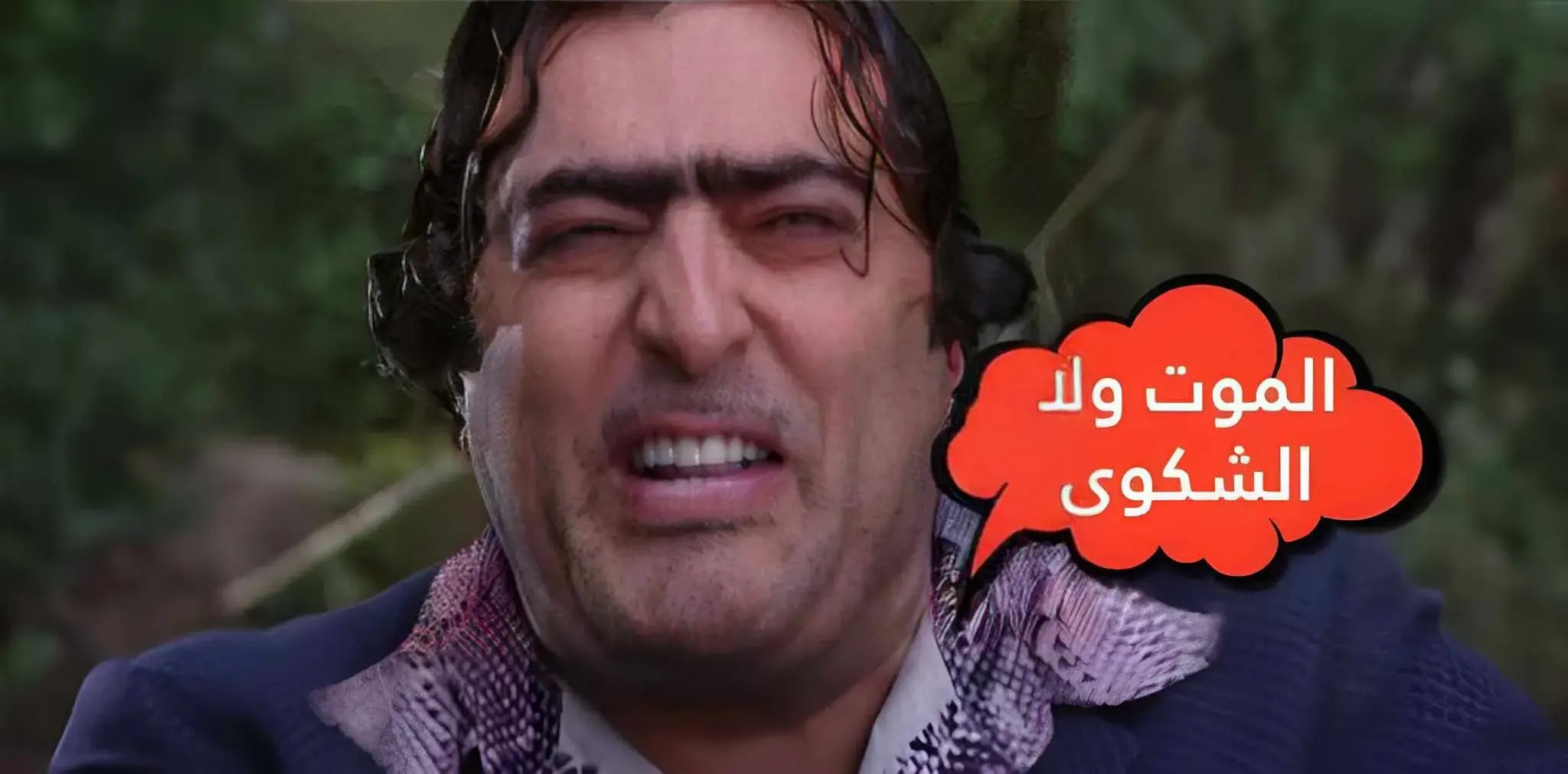ضيعة ضايعة