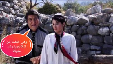 ضيعة ضايعة