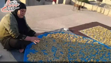 صناعة الكشك