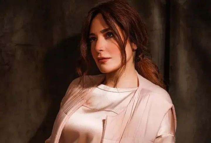 حفل عبير نعمة في دمشق