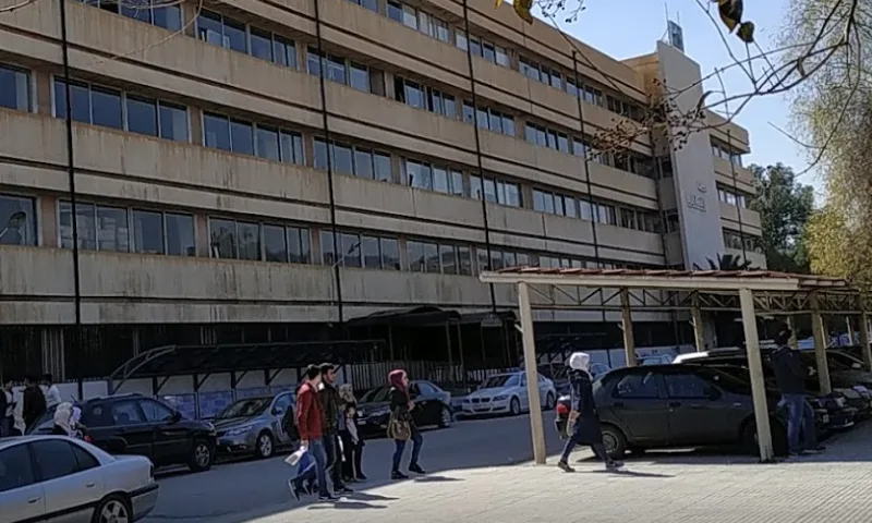 جامعة دمشق الاعتمادية الدولية