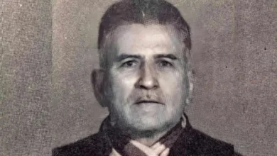 يوسف تاج