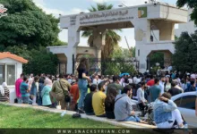 حفل عبير نعمة في دار الأوبرا