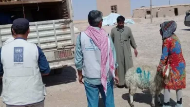 الأمم المتحدة فرص عمل