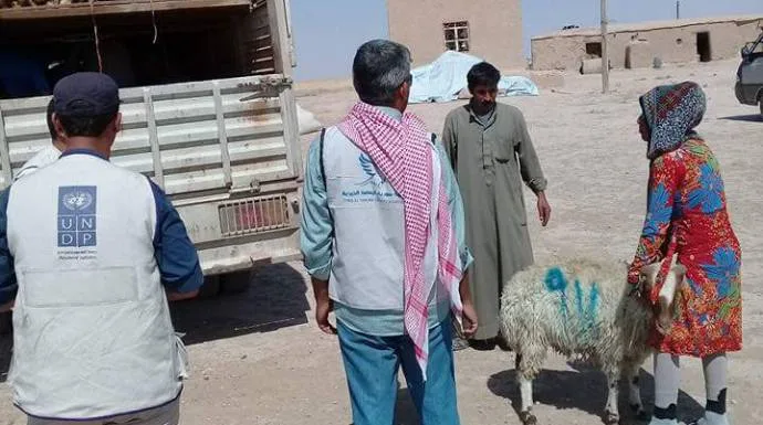 الأمم المتحدة فرص عمل