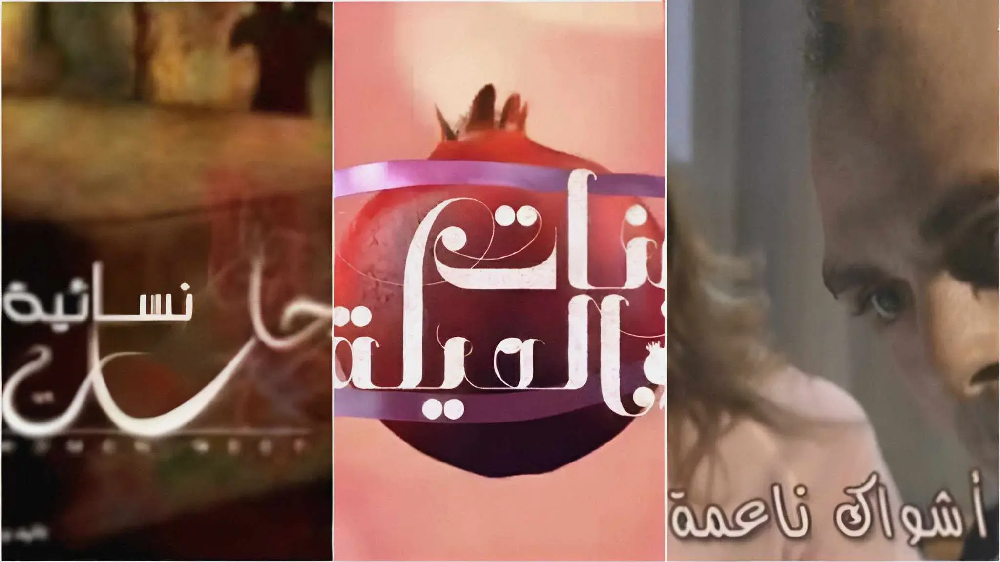 مسلسل الصديقات القطط