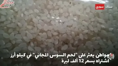 أرز مسوس سوريا