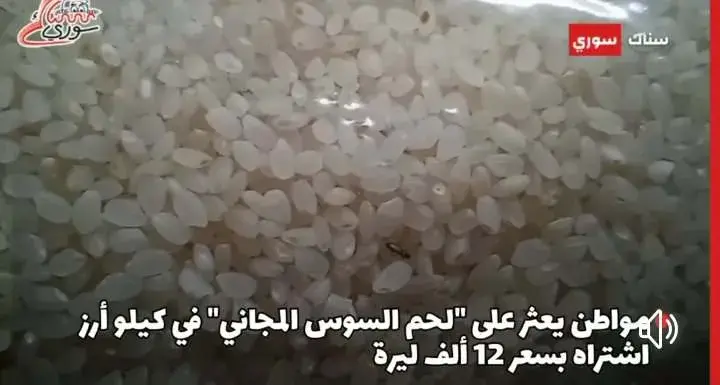 أرز مسوس سوريا