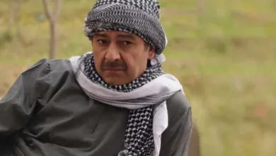 عاصم حواط تقديم برامج