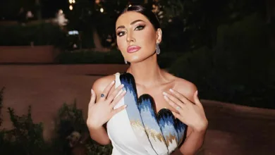 اعتزال هبة نور