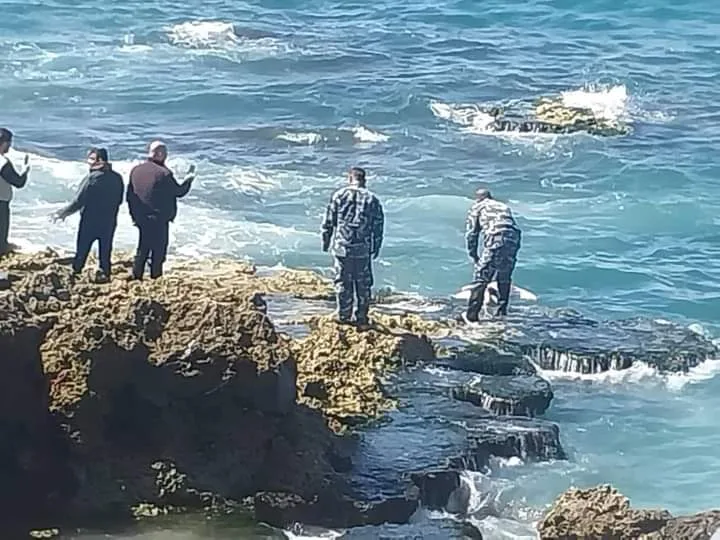 حوادث غامضة في اللاذقية