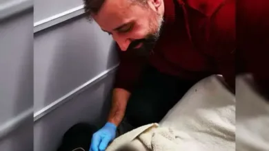 الطبيب السوري علي عبدالله