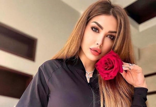 دانا جبر مسلسلات معربة