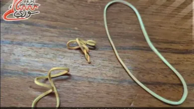 الأسعار بالأسواق السورية