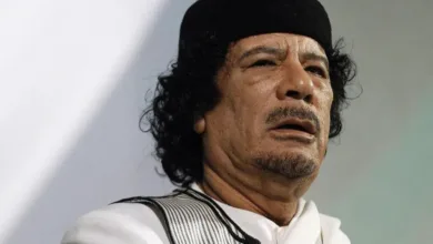 حقيبة مفقودة اللاذقية