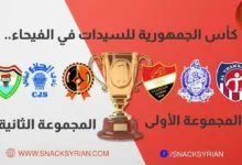 كأس الجمهورية للسيدات بكرة السلة