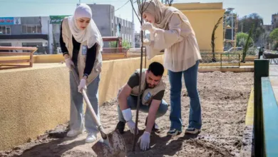 تشجير حي الانطلاق دير الزور